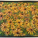 Colebrook Susans